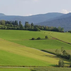 Wiesengrün - Osserblick Apartment